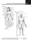 Анатомия Неттера. Атлас-раскраска — фото, картинка — 11