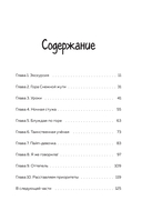 Приключения ниндзя из Майнкрафта. Книга 3. Кошмарная экскурсия — фото, картинка — 3