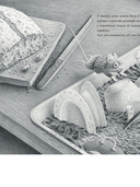 Мышаня Ціп і мышаня Тап — фото, картинка — 4