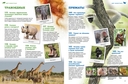 Мир животных: от актинии до ягуара — фото, картинка — 4