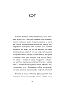 Черный кот предлагает сделку — фото, картинка — 13