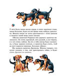 Мишкина каша. Рассказы — фото, картинка — 17