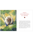 Лесные дедушкины сказки — фото, картинка — 8