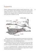 Сам себе шеф-повар. Как научиться готовить без рецептов — фото, картинка — 19