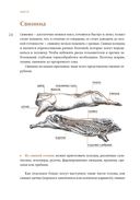 Сам себе шеф-повар. Как научиться готовить без рецептов — фото, картинка — 22