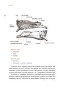 Сам себе шеф-повар. Как научиться готовить без рецептов — фото, картинка — 26