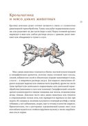 Сам себе шеф-повар. Как научиться готовить без рецептов — фото, картинка — 29