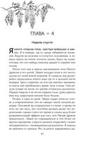 Пятый Дракон — фото, картинка — 47