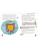 Реальная биология. Как устроено тело человека — фото, картинка — 9
