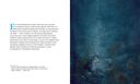 Туманный человечек с Боденского озера — фото, картинка — 1
