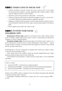 Счетчик калорий. Здоровый рацион питания без лишних калорий — фото, картинка — 13