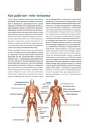 Анатомия тренировок со свободными отягощениями — фото, картинка — 4