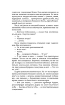 Осколок звезды — фото, картинка — 13