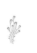 Женские стихии. Исцеляющие практики через архетипы сказок и мифов — фото, картинка — 40