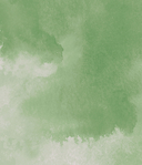 Всегда, Зоя — фото, картинка — 4