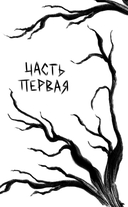 Город Спящих — фото, картинка — 8