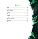 Русалчына затока — фото, картинка — 7