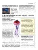 Подводный мир. Большая иллюстрированная энциклопедия — фото, картинка — 12
