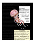 Подводный мир. Большая иллюстрированная энциклопедия — фото, картинка — 14