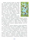 История одного волчонка — фото, картинка — 1