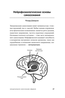 12 элементов эмоционального интеллекта. Как стать вдохновляющим лидером — фото, картинка — 20