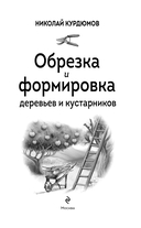 Обрезка и формировка деревьев и кустарников — фото, картинка — 1