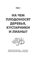 Обрезка и формировка деревьев и кустарников — фото, картинка — 5