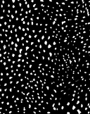 Жизнь (какой мы её знаем) — фото, картинка — 14