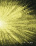 Жизнь (какой мы её знаем) — фото, картинка — 6