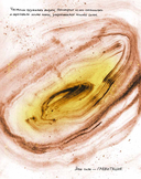 Жизнь (какой мы её знаем) — фото, картинка — 7