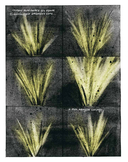 Жизнь (какой мы её знаем) — фото, картинка — 9