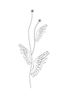 Парень с ангельскими крыльями — фото, картинка — 2