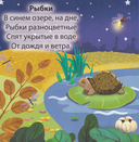 Загляни в окошко. Кто где спит — фото, картинка — 2