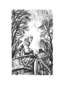 Лошадиная фамилия — фото, картинка — 1