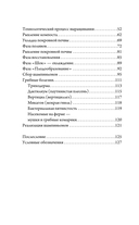 Грибная ферма для начинающих. От споры до прилавка — фото, картинка — 4