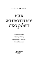 Как животные скорбят. Что чувствуют кошки, слоны, дельфины и другие, теряя близких — фото, картинка — 1