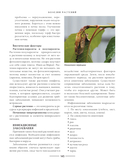 Секреты малоуходного сада. Как создать дизайн участка с неприхотливыми декоративными растениями — фото, картинка — 2