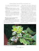 Секреты малоуходного сада. Как создать дизайн участка с неприхотливыми декоративными растениями — фото, картинка — 15