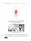 Атлас триггерных точек. Современные подходы к работе с мышцами и суставами при болевых синдромах — фото, картинка — 13