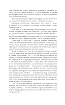 Посевной календарь 2025 с советами ведущего огородника + удобный ежедневник — фото, картинка — 8