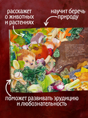 Секреты осеннего леса. Визуальная энциклопедия — фото, картинка — 2