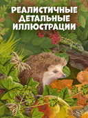 Секреты осеннего леса. Визуальная энциклопедия — фото, картинка — 3