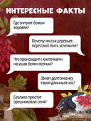 Секреты осеннего леса. Визуальная энциклопедия — фото, картинка — 4