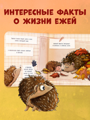 Ёжик в саду. Первая книга малыша о природе — фото, картинка — 4