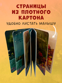 Ёжик в саду. Первая книга малыша о природе — фото, картинка — 6