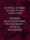Крапива — фото, картинка — 2