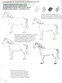 Создаем наброски лошадей шаг за шагом. 50 проектов с подробными объяснениями — фото, картинка — 1