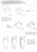 Создаем наброски лошадей шаг за шагом. 50 проектов с подробными объяснениями — фото, картинка — 2