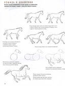 Создаем наброски лошадей шаг за шагом. 50 проектов с подробными объяснениями — фото, картинка — 3