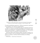 Русские былины — фото, картинка — 8